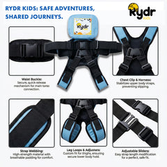 Safety_Belts-Blue-PREMIUM